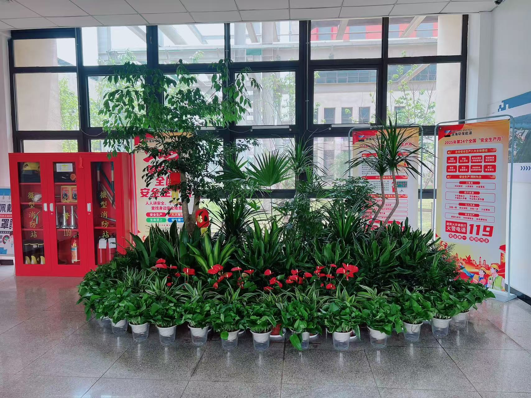 宁波海曙绿植租赁，实惠之选，点进了解！